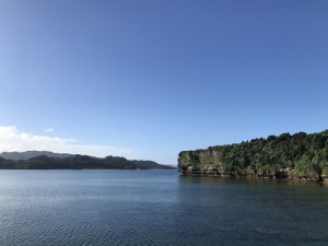 IMG_2277