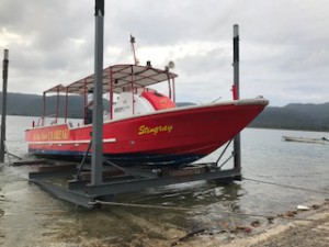 image6