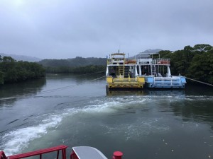 IMG_7978