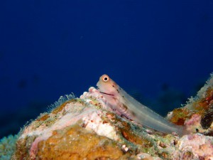 P3190331
