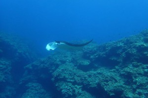 P5220086