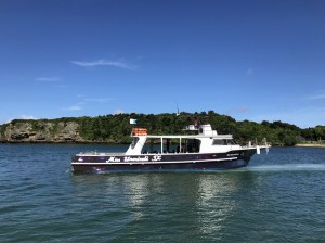 IMG_1353