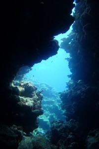 P6090378