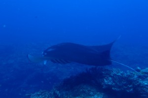 P6230574