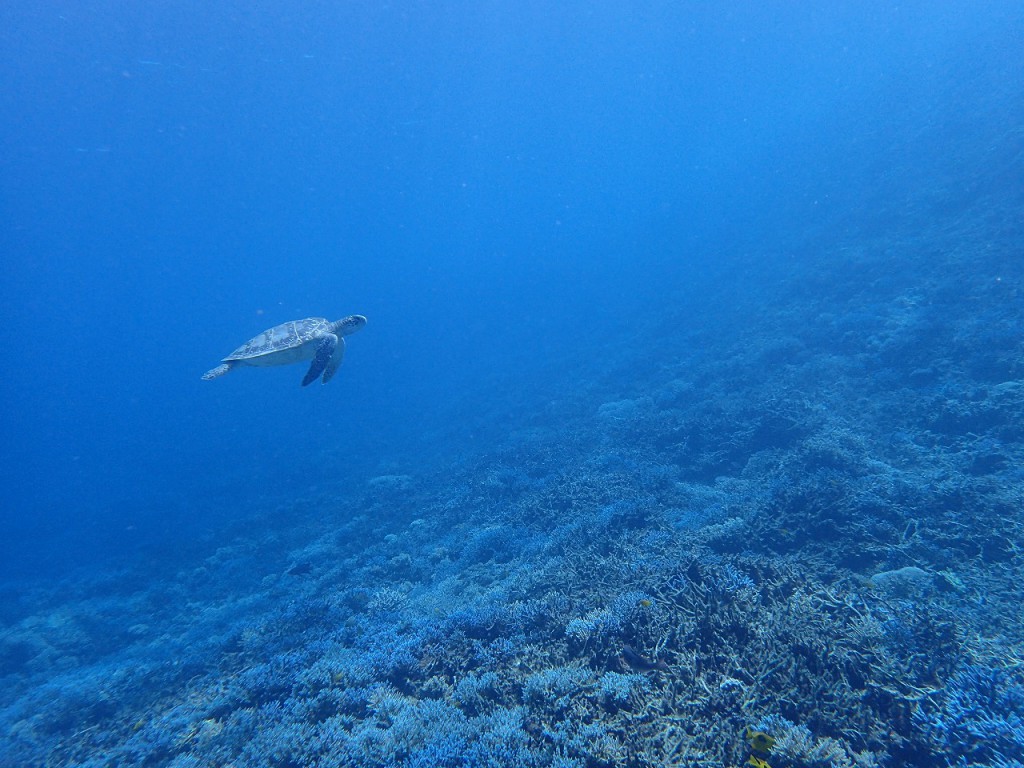 P9120567