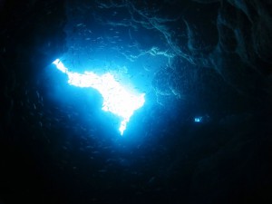 IMG_0601