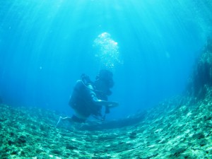 IMG_0604