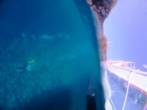 IMG_0608