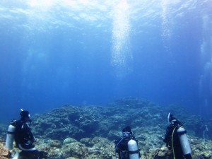 IMG_0611