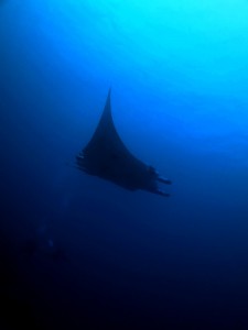 IMG_0721