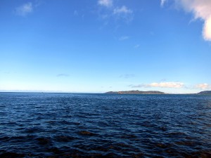 IMG_6132