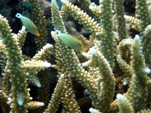IMG_6146