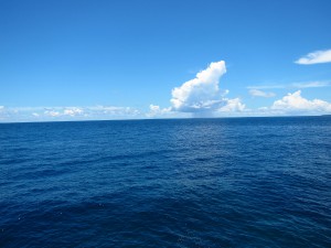 IMG_6266