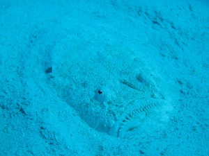 IMG_6313