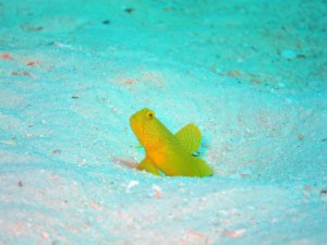 IMG_9106