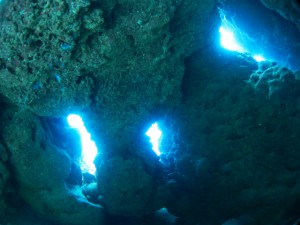 IMG_9137
