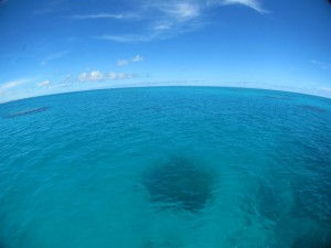 IMG_9149