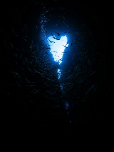 IMG_9373
