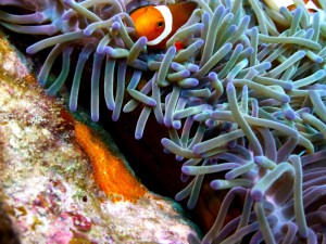 P1030776