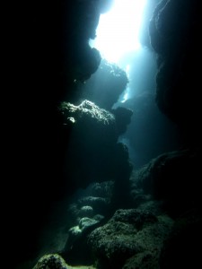 P1030806