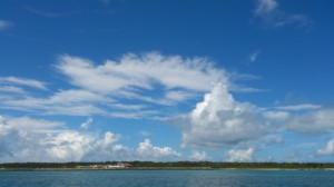 DSC_0331