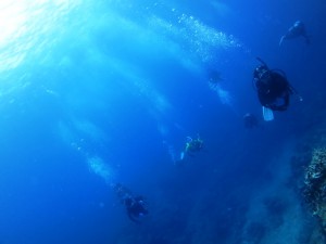 IMG_0252
