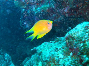 IMG_0261