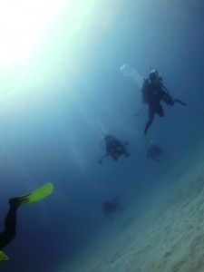IMG_0275