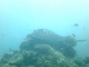 IMG_0330