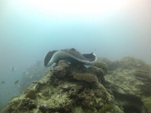 IMG_0332