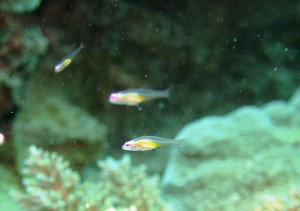 IMG_0341