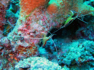 IMG_0370