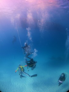 IMG_0445