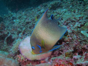 IMG_0762