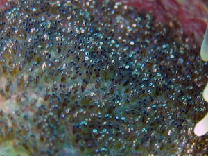 IMG_0767