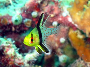 IMG_6433