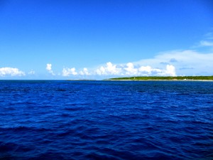 IMG_6816