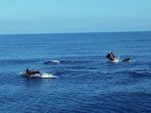 IMG_6880