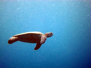 IMG_6904