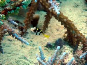 IMG_6941