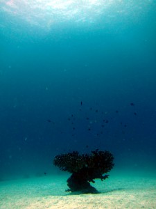 IMG_7022