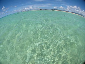 IMG_9463