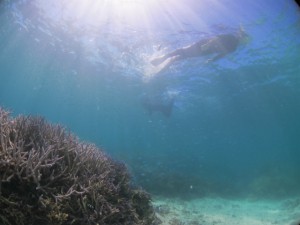 IMG_9496
