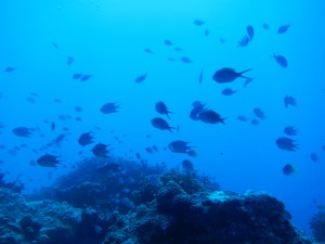 IMG_9656
