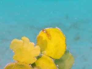 IMG_9759