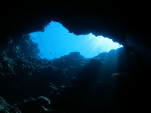 IMG_9976