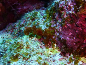 P1030857