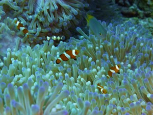 P1030930