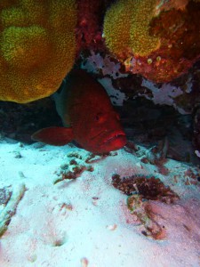 P1040154