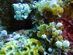 P1040170